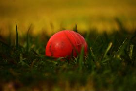 ball cricket 8K wallpaper