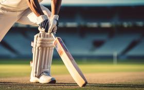 cricket 4K wallpaper