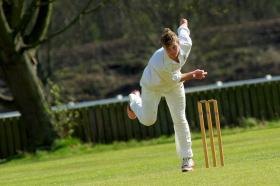 cricket HD wallpapers