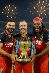 Royal Challengers Bengaluru champion wallpaper